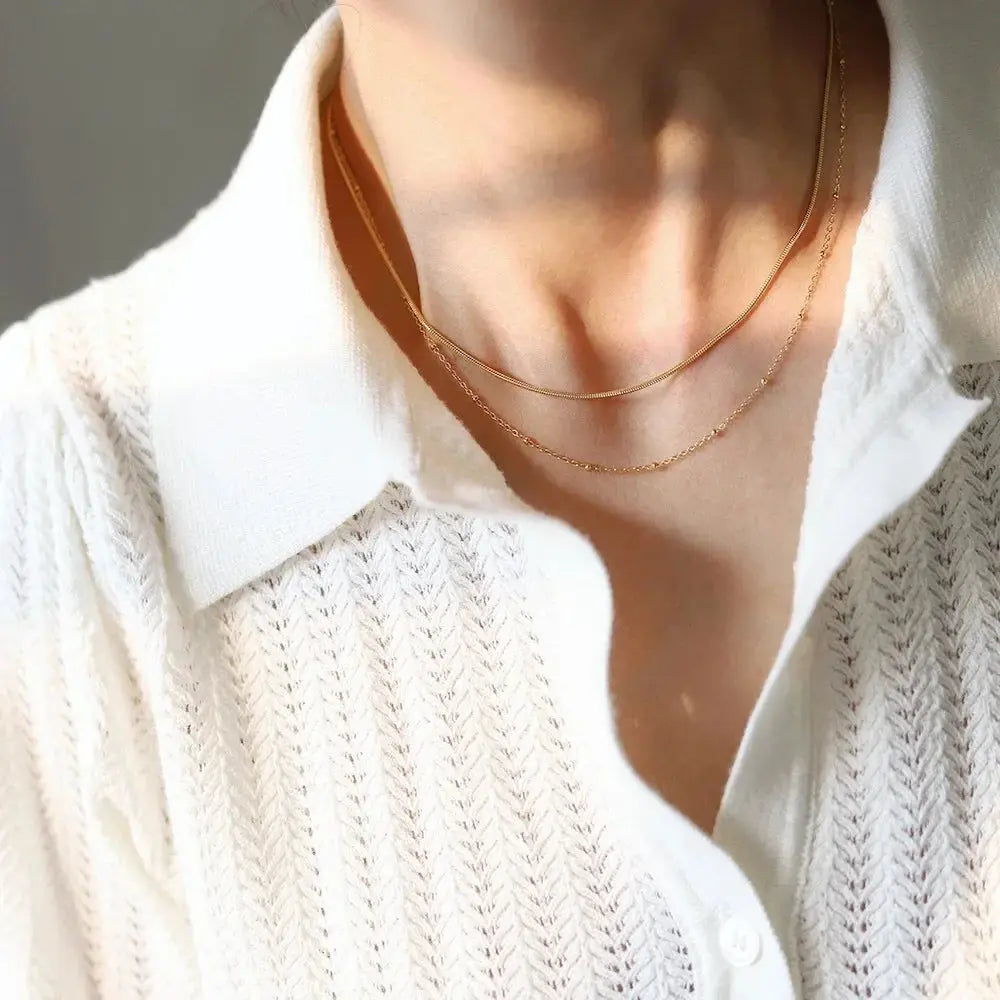 High-End Versatile Double-Layer Titanium Steel Necklace Snake Bone Design Non-Fading Lockbone Chain Wholesale Fashion Jewelry ERMANIA