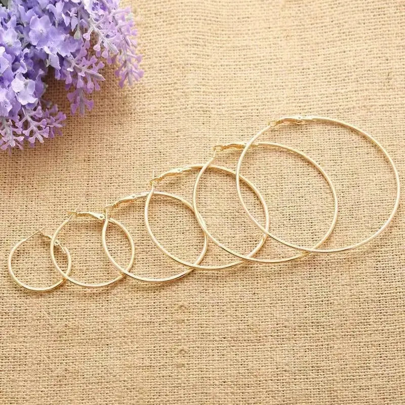 Ermania- 2pcs Big Circle Hoop Earrings Stainless - Ermania
