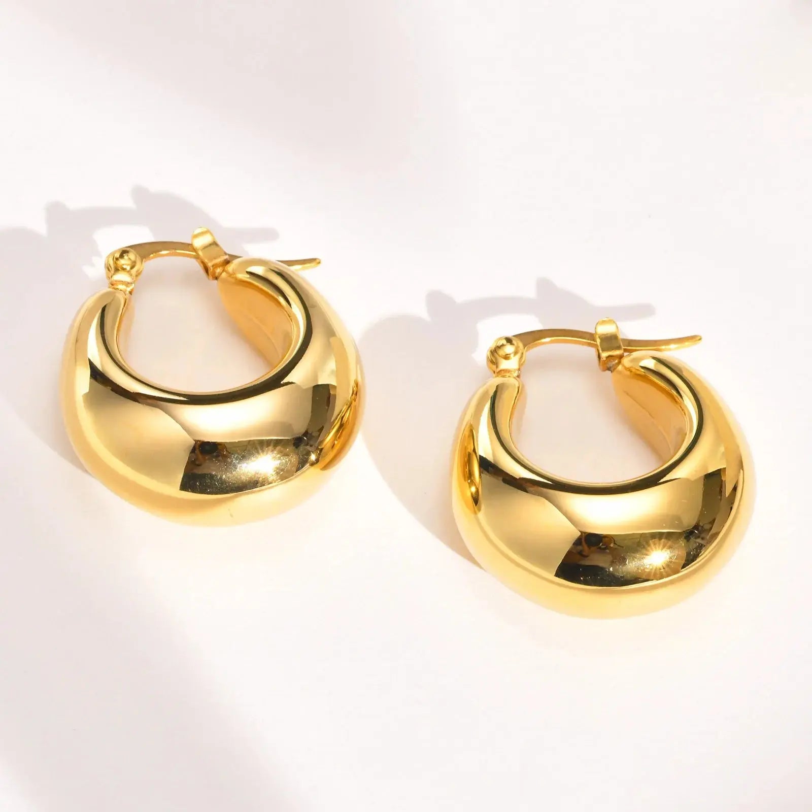 Ermania - Trendy Chunky Stainless Steel Hoop Earrings - Ermania
