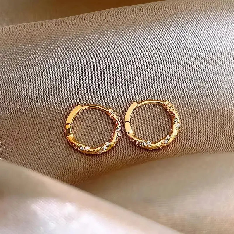 Ermania- Luxury Zircon Metal Hoop Earrings - Ermania