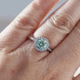 Ermania - Real Moissanite Jelly Rings - Ermania