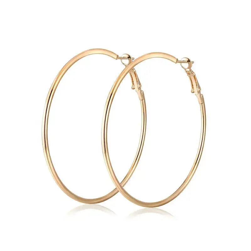 Ermania- 2pcs Big Circle Hoop Earrings Stainless - Ermania